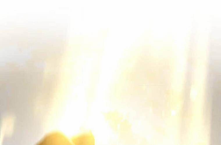 Mình Tao Là Siêu Việt Giả Mạnh Nhất! 25 trang 210