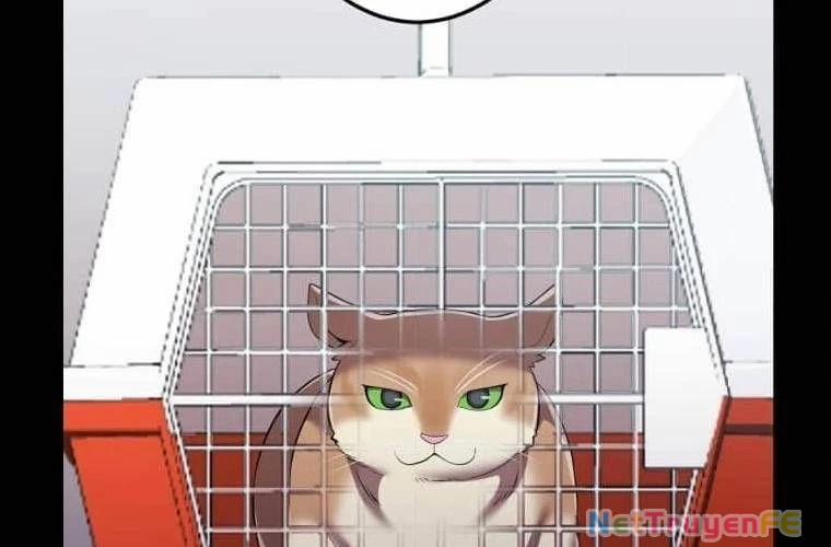 Mình Tao Là Siêu Việt Giả Mạnh Nhất! 27 trang 145