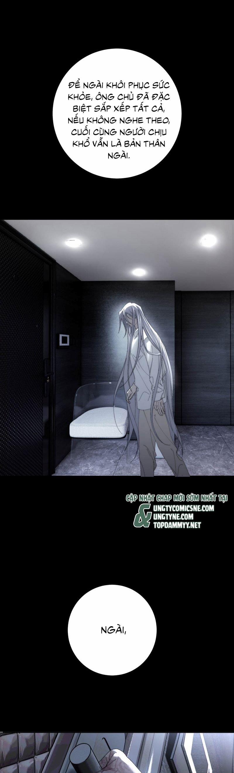 Mỗi Ngày Đều Muốn Làm Bệnh Kiều Vương Tử Xấu Hổ Muốn Độn Thổ 15 trang 11