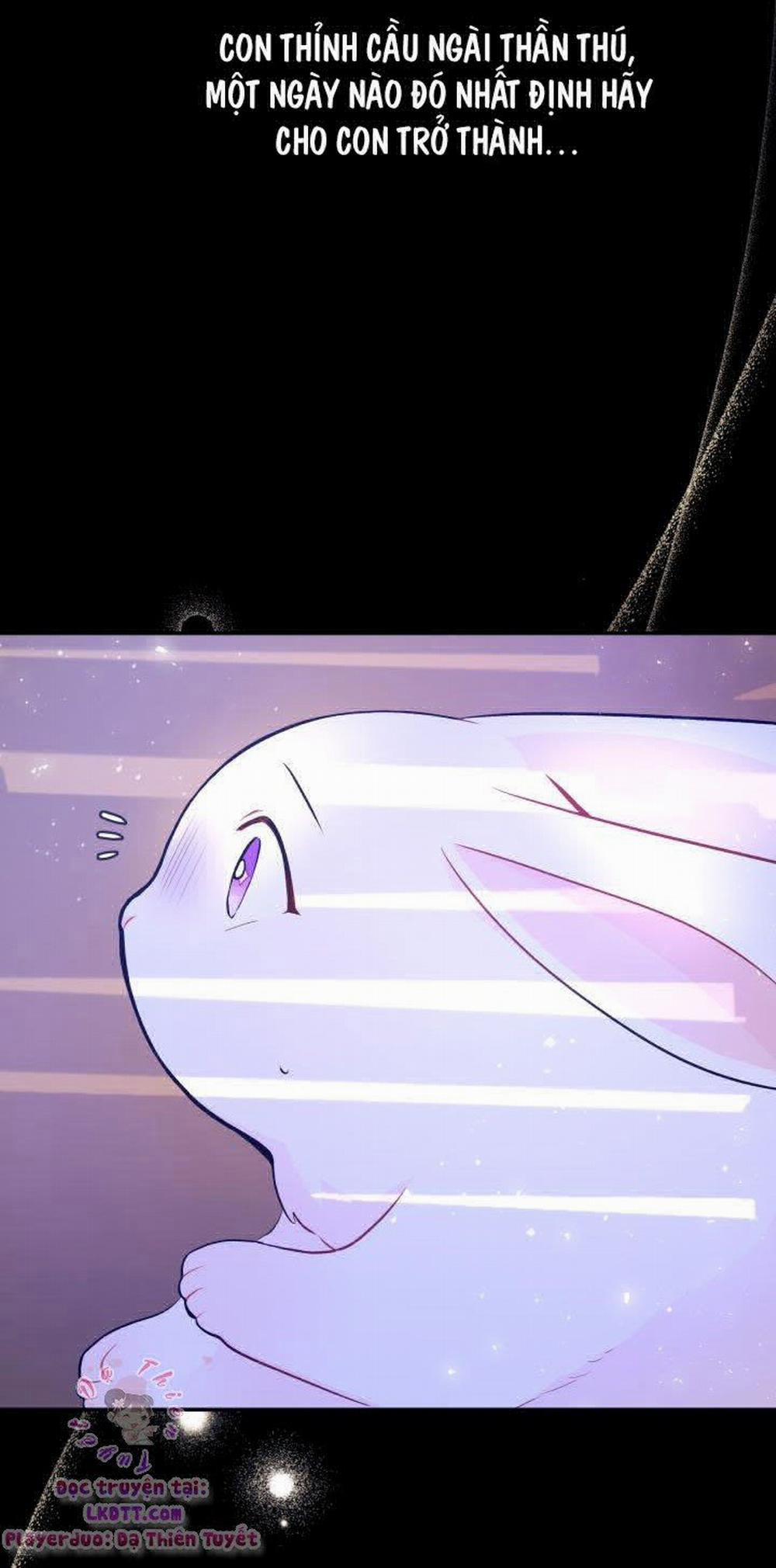 Mối Quan Hệ Cộng Sinh Giữa Báo Đen Và Thỏ Trắng 1 trang 10