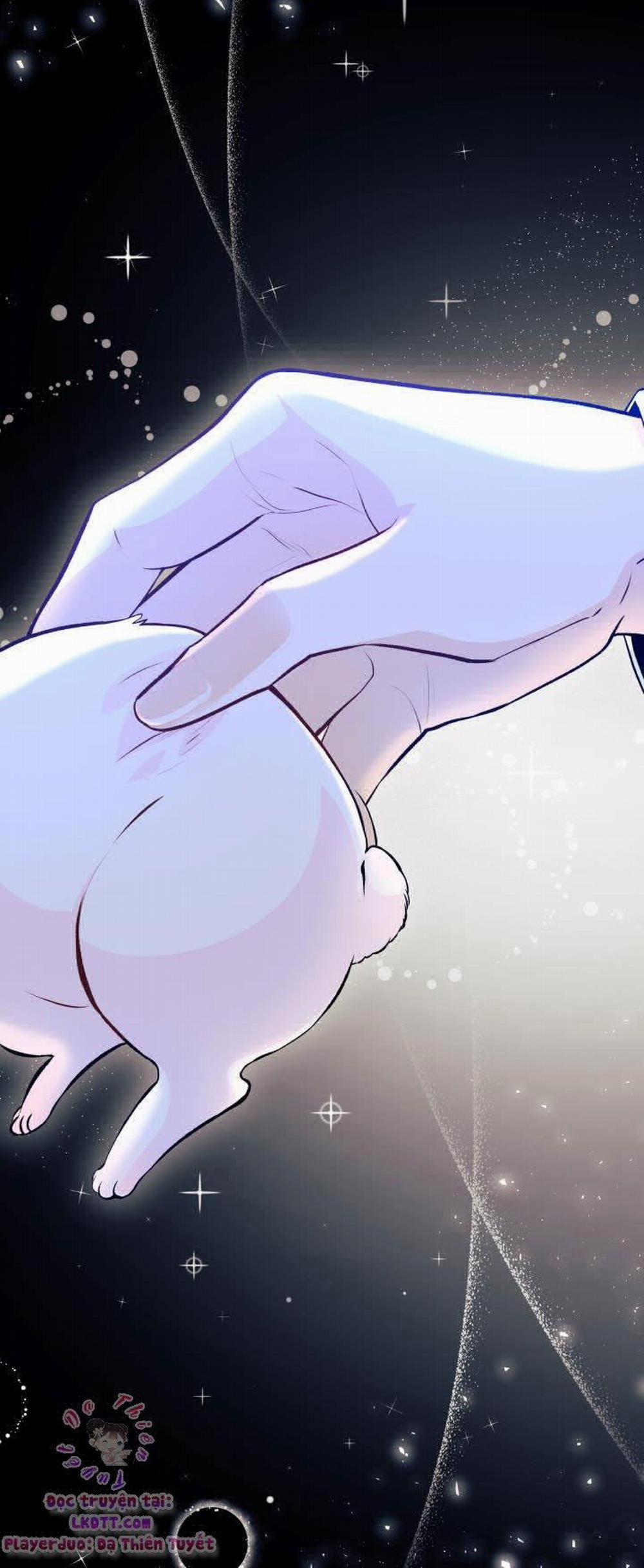 Mối Quan Hệ Cộng Sinh Giữa Báo Đen Và Thỏ Trắng 1 trang 28