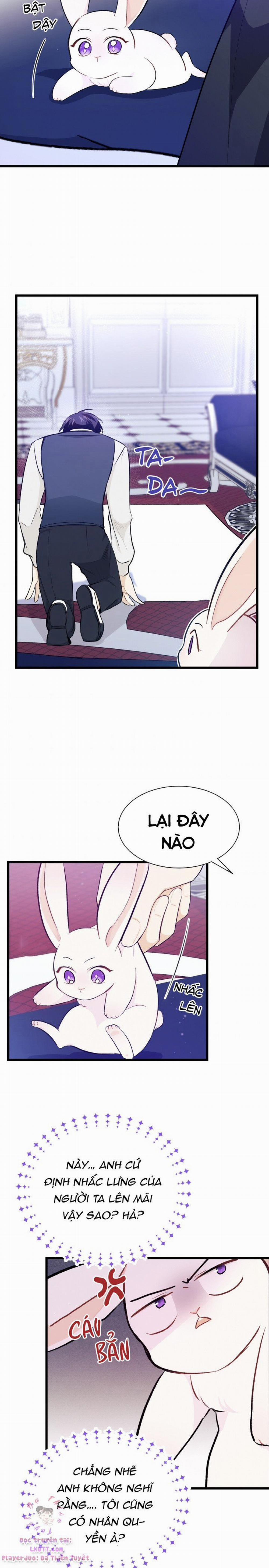 Mối Quan Hệ Cộng Sinh Giữa Báo Đen Và Thỏ Trắng 10 trang 13