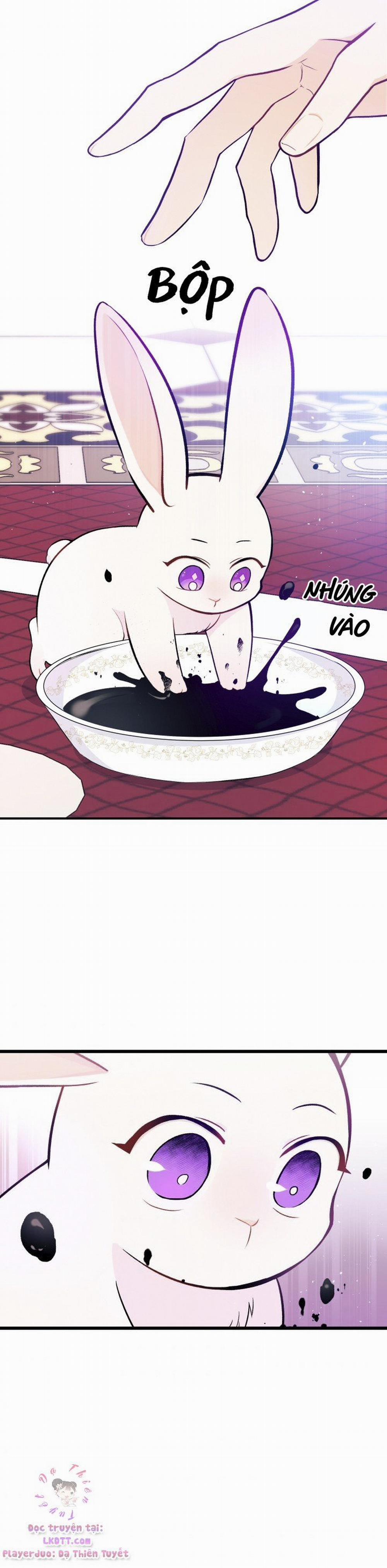 Mối Quan Hệ Cộng Sinh Giữa Báo Đen Và Thỏ Trắng 10 trang 16