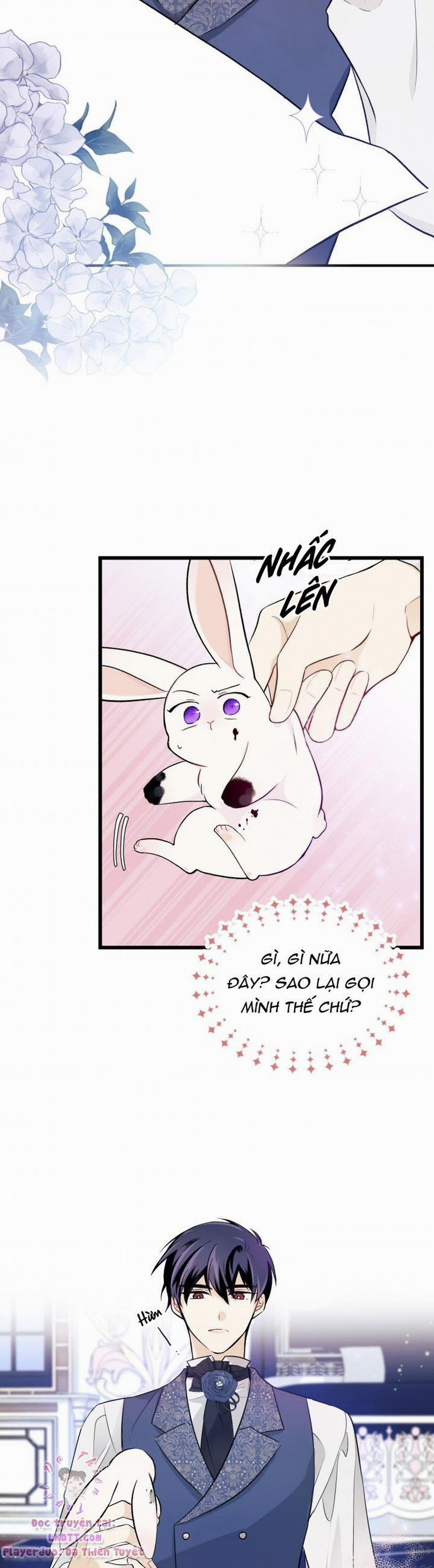 Mối Quan Hệ Cộng Sinh Giữa Báo Đen Và Thỏ Trắng 10 trang 23