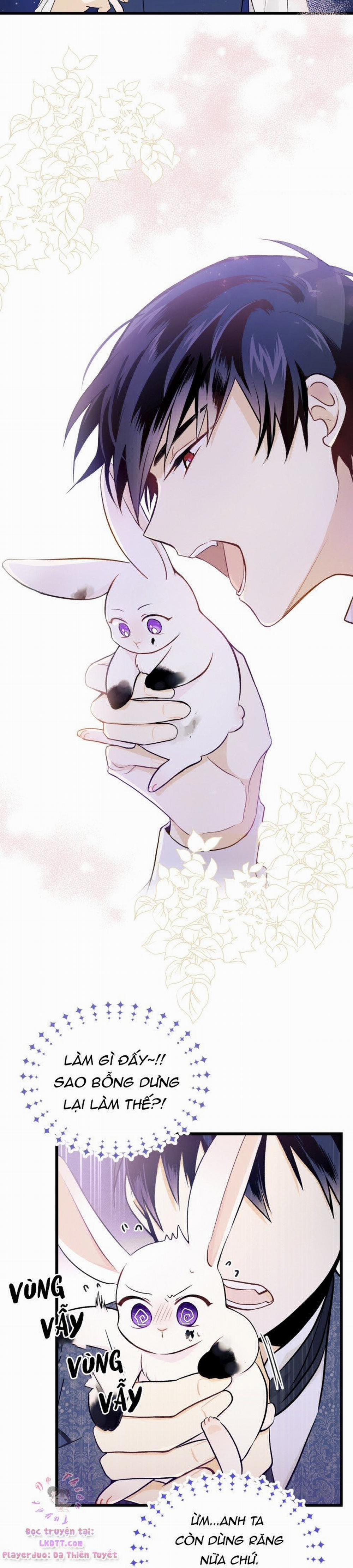 Mối Quan Hệ Cộng Sinh Giữa Báo Đen Và Thỏ Trắng 10 trang 24