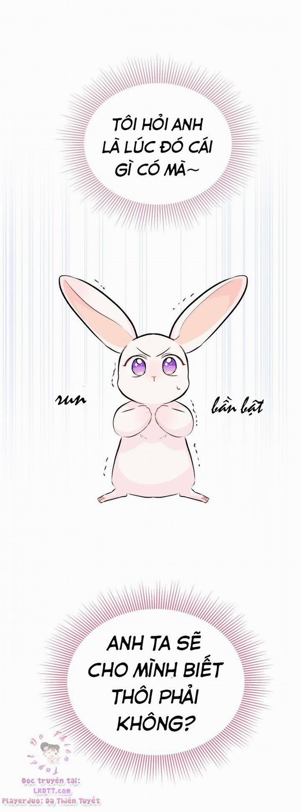 Mối Quan Hệ Cộng Sinh Giữa Báo Đen Và Thỏ Trắng 11 trang 38