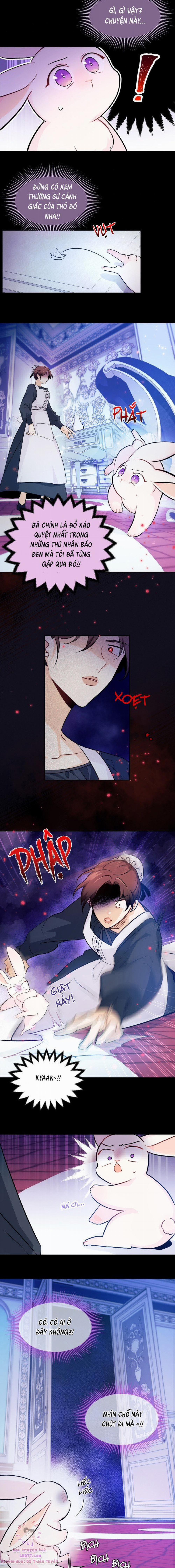 Mối Quan Hệ Cộng Sinh Giữa Báo Đen Và Thỏ Trắng 13 trang 16