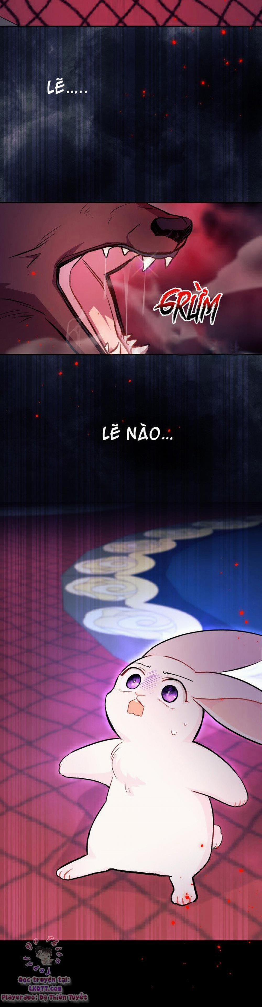 Mối Quan Hệ Cộng Sinh Giữa Báo Đen Và Thỏ Trắng 13 trang 20