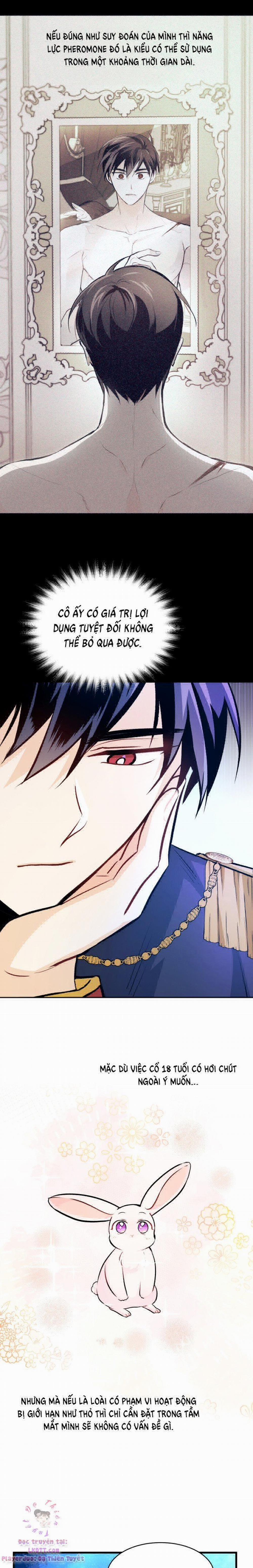 Mối Quan Hệ Cộng Sinh Giữa Báo Đen Và Thỏ Trắng 13 trang 7