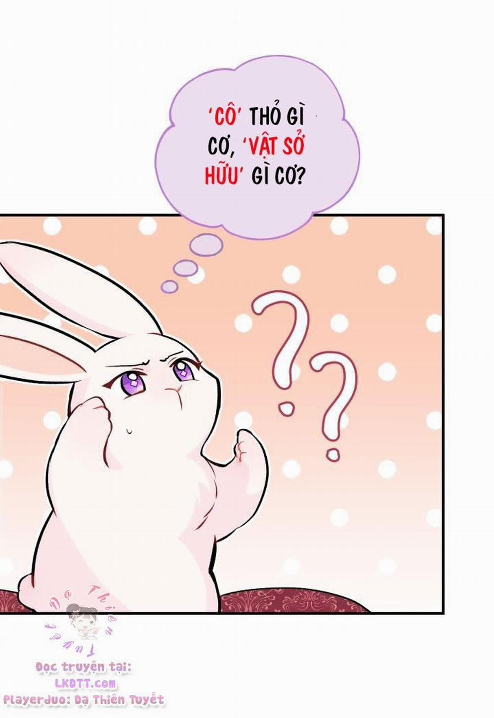 Mối Quan Hệ Cộng Sinh Giữa Báo Đen Và Thỏ Trắng 2 trang 25