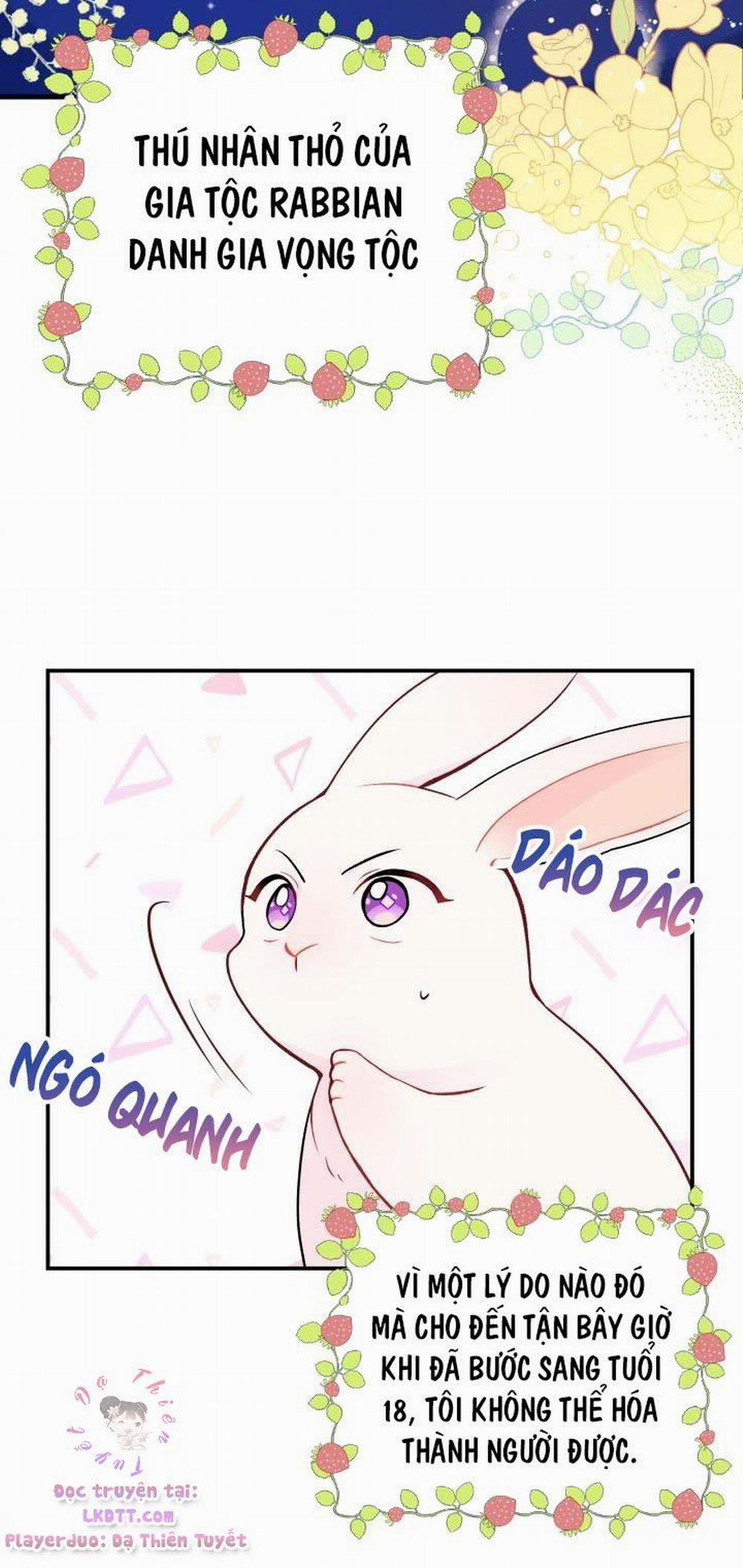 Mối Quan Hệ Cộng Sinh Giữa Báo Đen Và Thỏ Trắng 2 trang 4