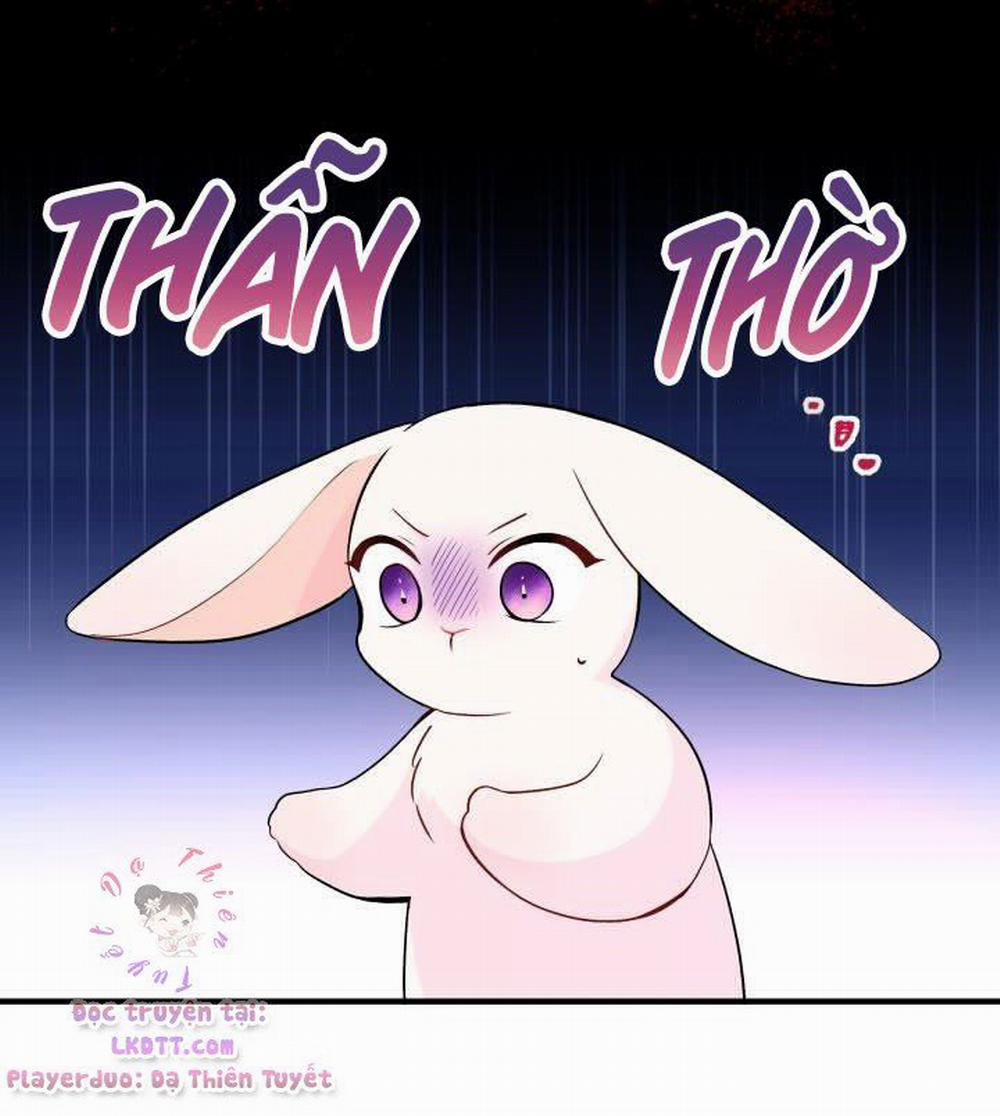 Mối Quan Hệ Cộng Sinh Giữa Báo Đen Và Thỏ Trắng 2 trang 9