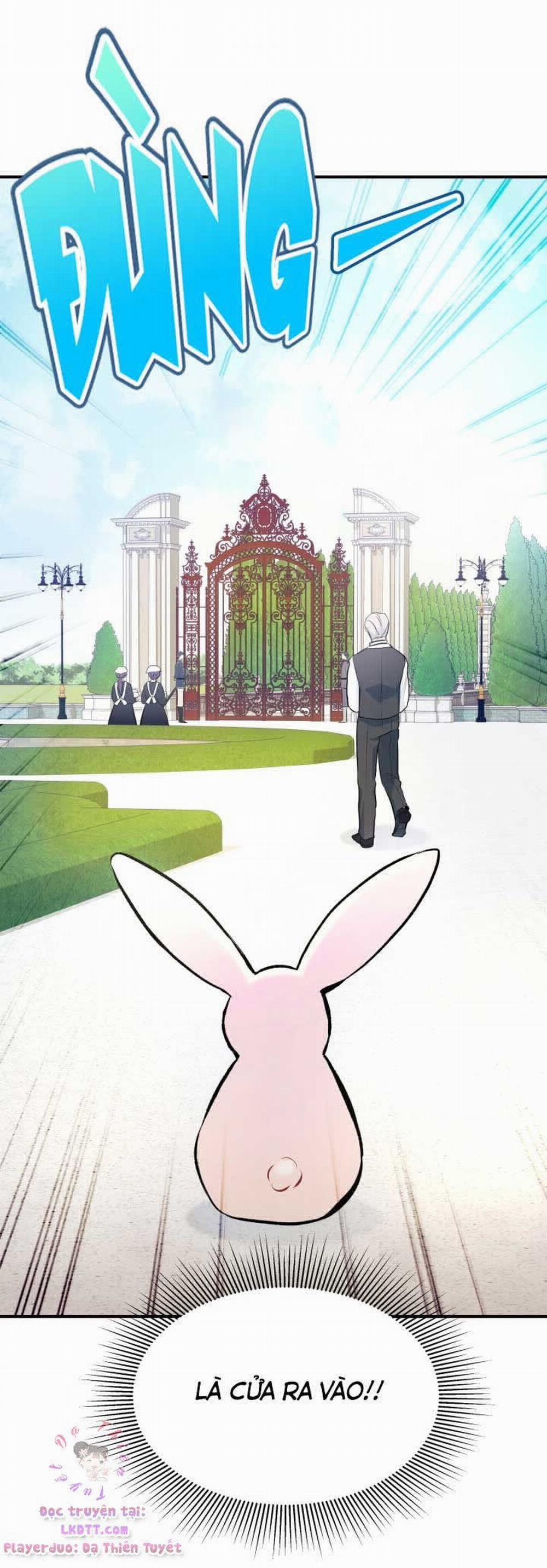 Mối Quan Hệ Cộng Sinh Giữa Báo Đen Và Thỏ Trắng 3 trang 47