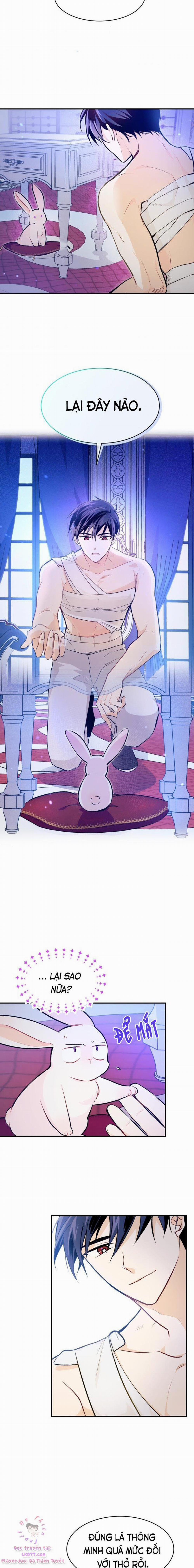 Mối Quan Hệ Cộng Sinh Giữa Báo Đen Và Thỏ Trắng 4 trang 11