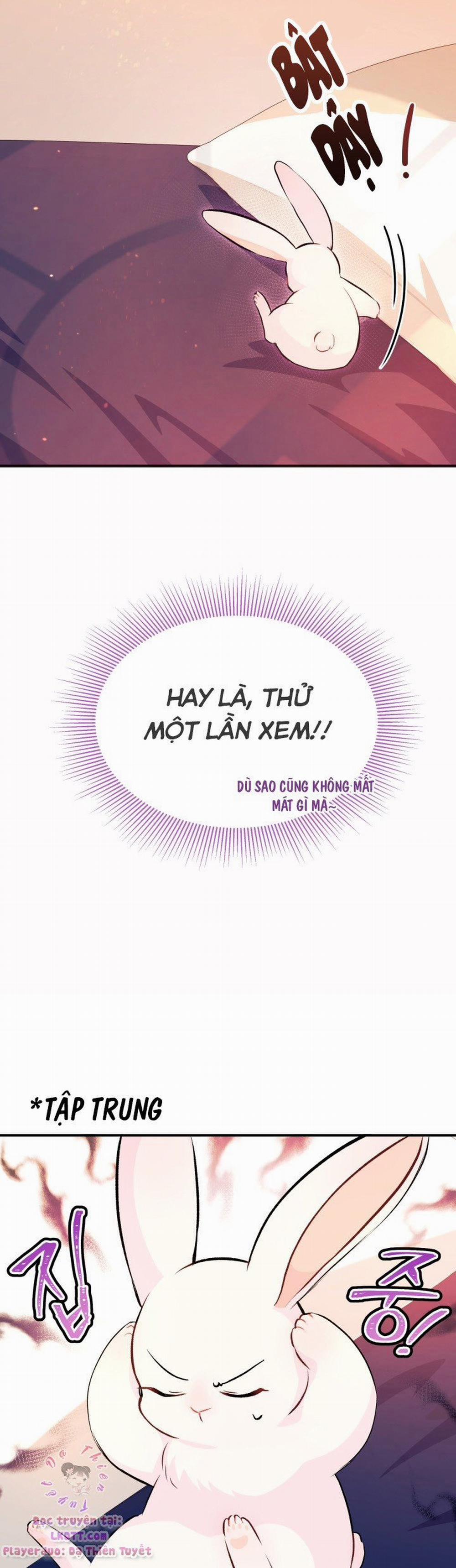 Mối Quan Hệ Cộng Sinh Giữa Báo Đen Và Thỏ Trắng 5 trang 26