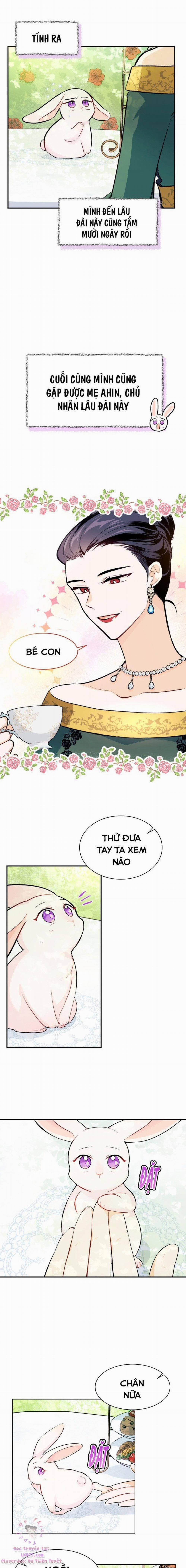 Mối Quan Hệ Cộng Sinh Giữa Báo Đen Và Thỏ Trắng 5 trang 7