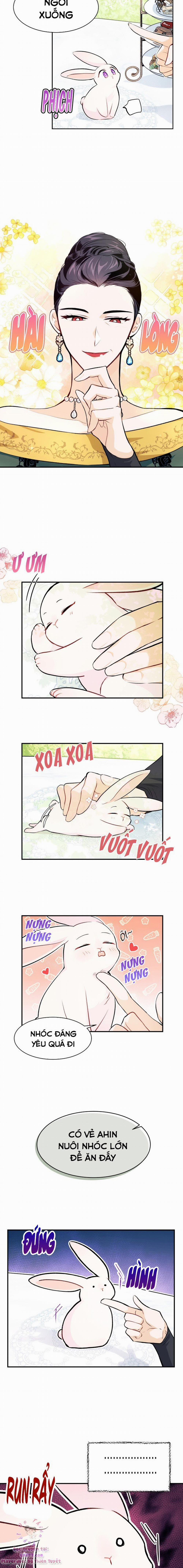 Mối Quan Hệ Cộng Sinh Giữa Báo Đen Và Thỏ Trắng 5 trang 8