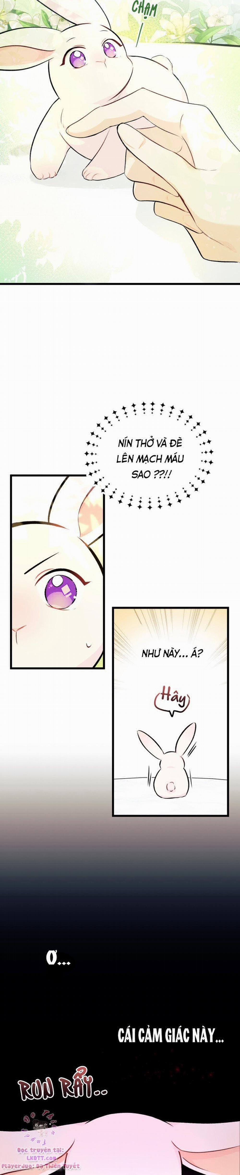 Mối Quan Hệ Cộng Sinh Giữa Báo Đen Và Thỏ Trắng 6 trang 7