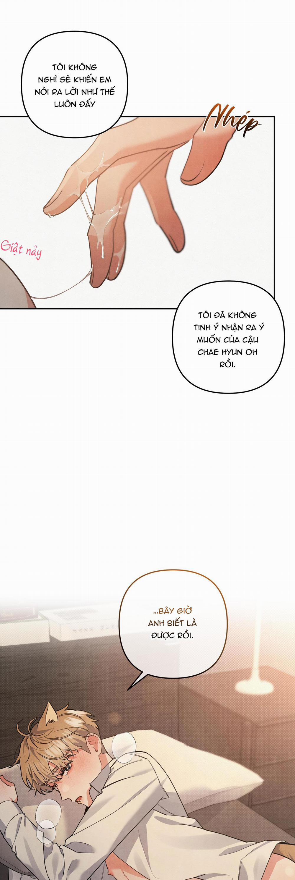 Mối Quan Hệ Của Thú Nhân 62 CHAP 59 trang 12