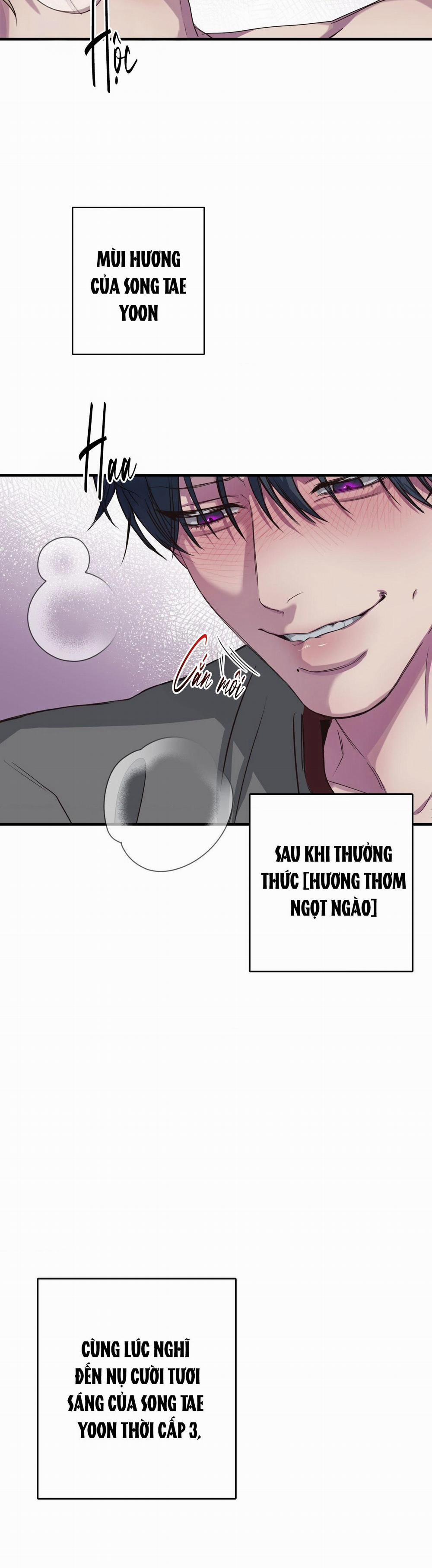 Mối Tình Bị Động 23 trang 3