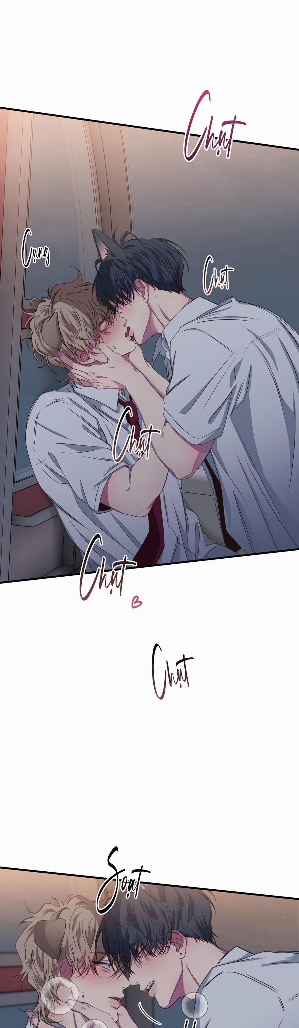 Mối Tình Bị Động 27 trang 11