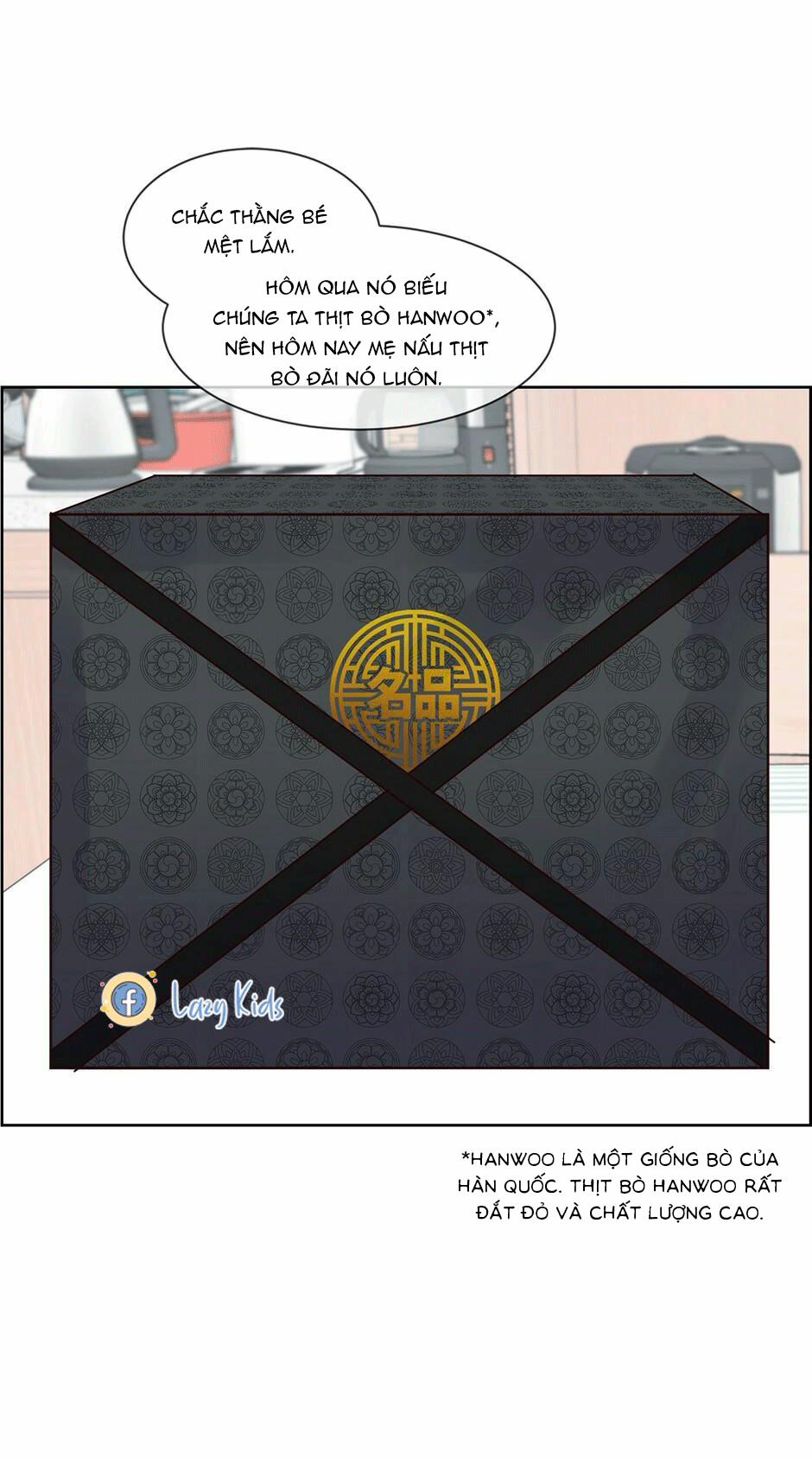 Mối Tình Chớp Nhoáng 49 trang 2