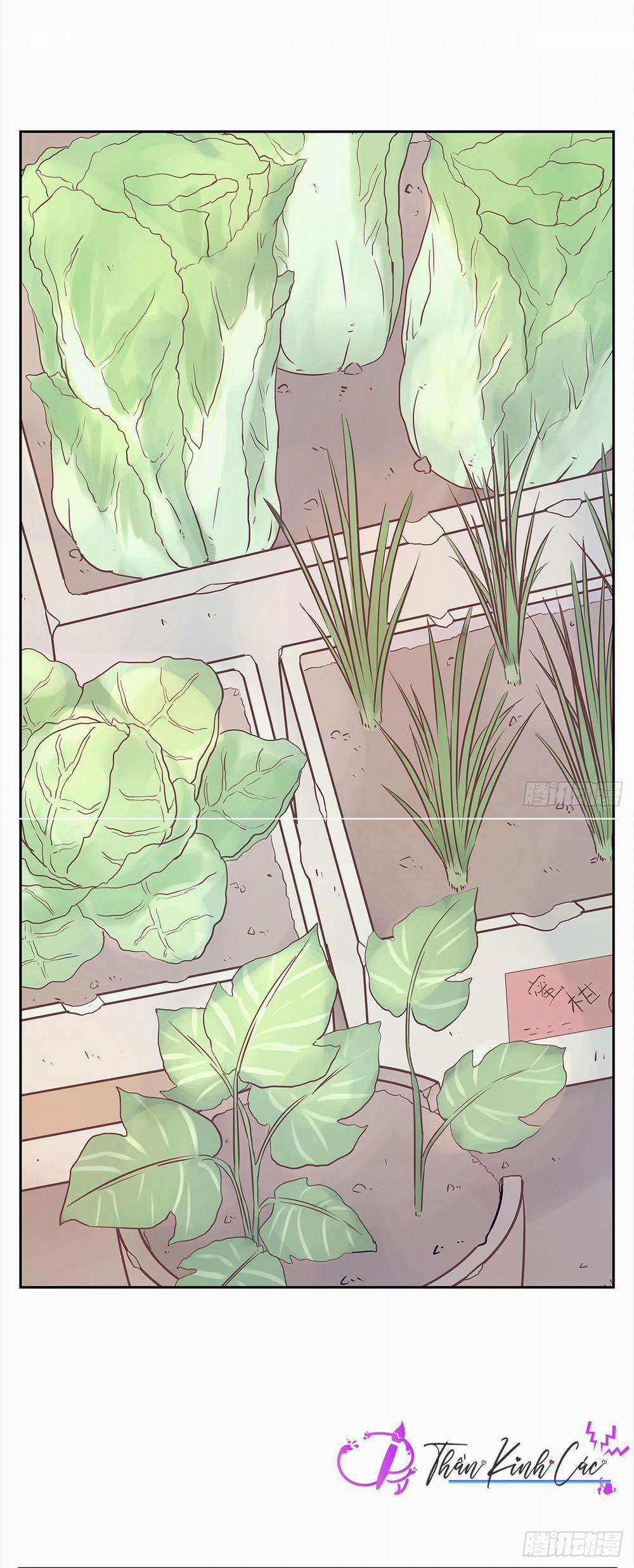 Mối Tình Đầu Gian Nan Của Chu Thành Nhất 22 trang 25