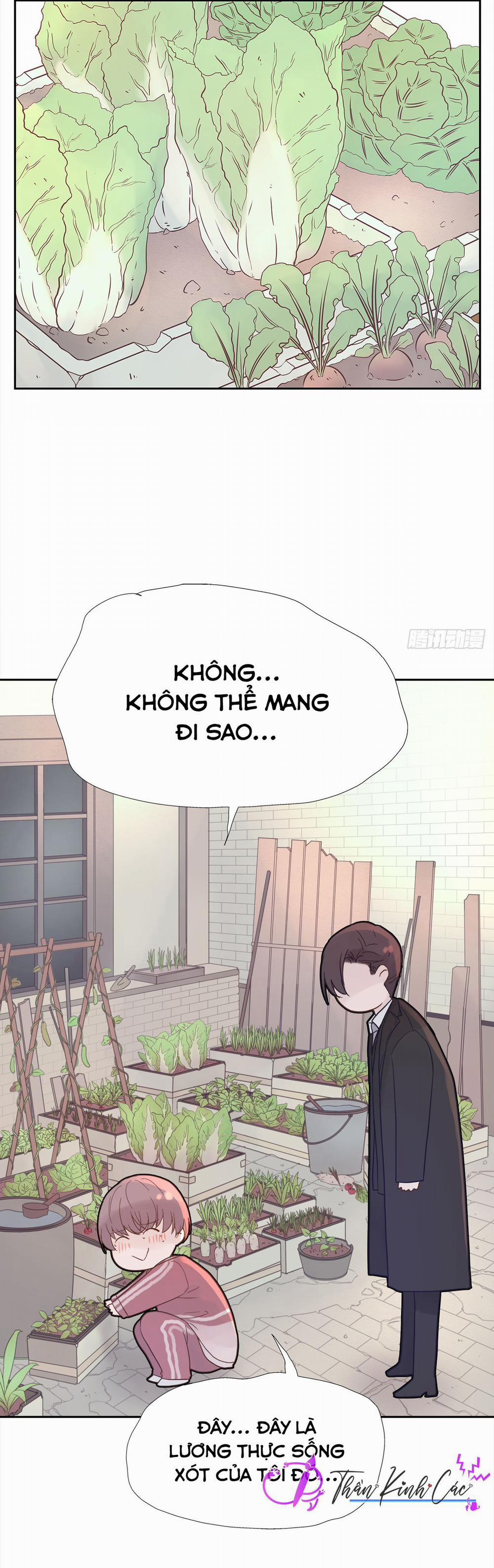 Mối Tình Đầu Gian Nan Của Chu Thành Nhất 22 trang 26