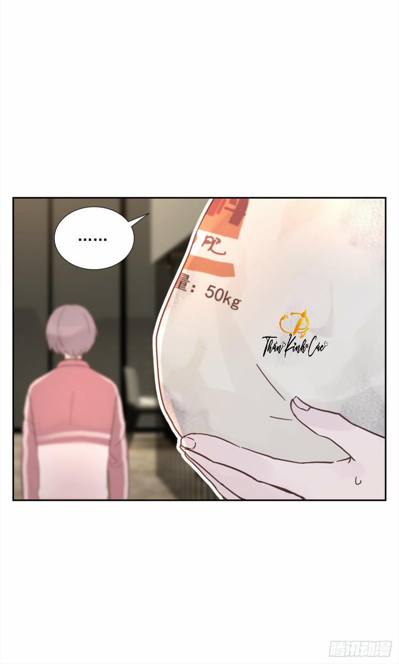 Mối Tình Đầu Gian Nan Của Chu Thành Nhất 23 trang 14