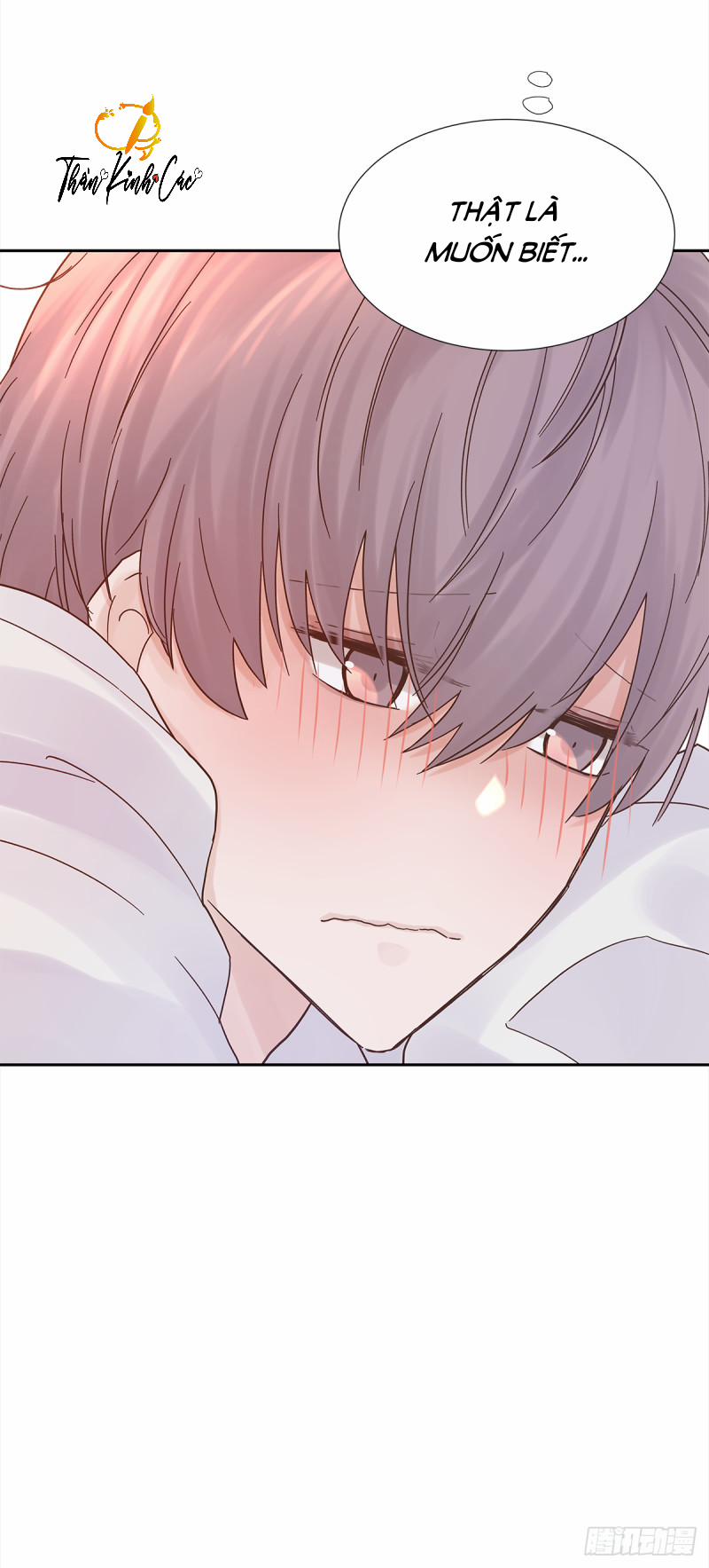 Mối Tình Đầu Gian Nan Của Chu Thành Nhất 24 trang 17