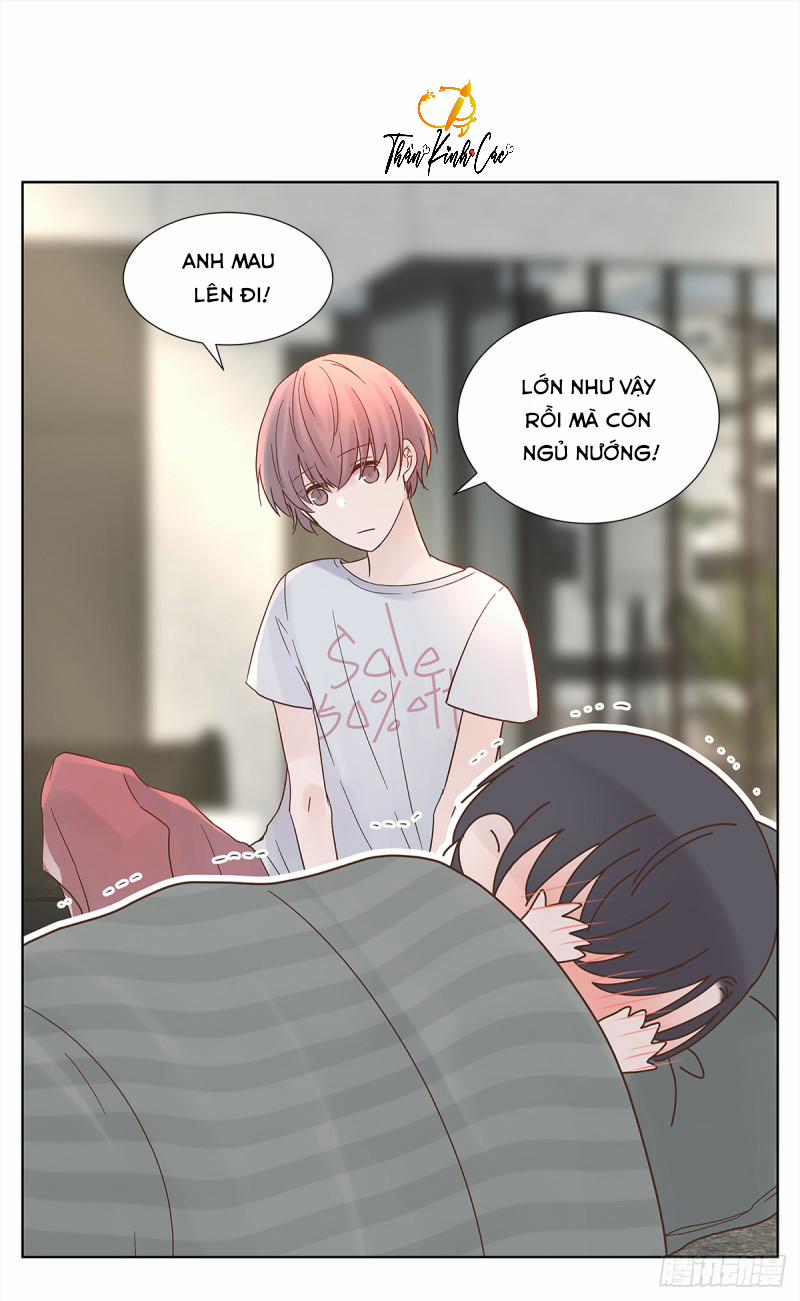 Mối Tình Đầu Gian Nan Của Chu Thành Nhất 26 trang 20