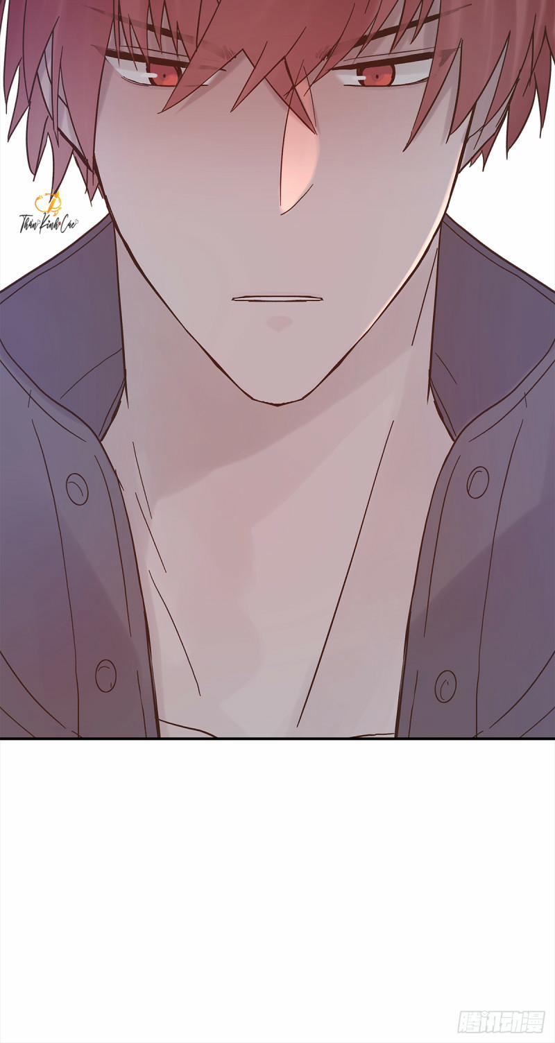 Mối Tình Đầu Gian Nan Của Chu Thành Nhất 34 trang 40