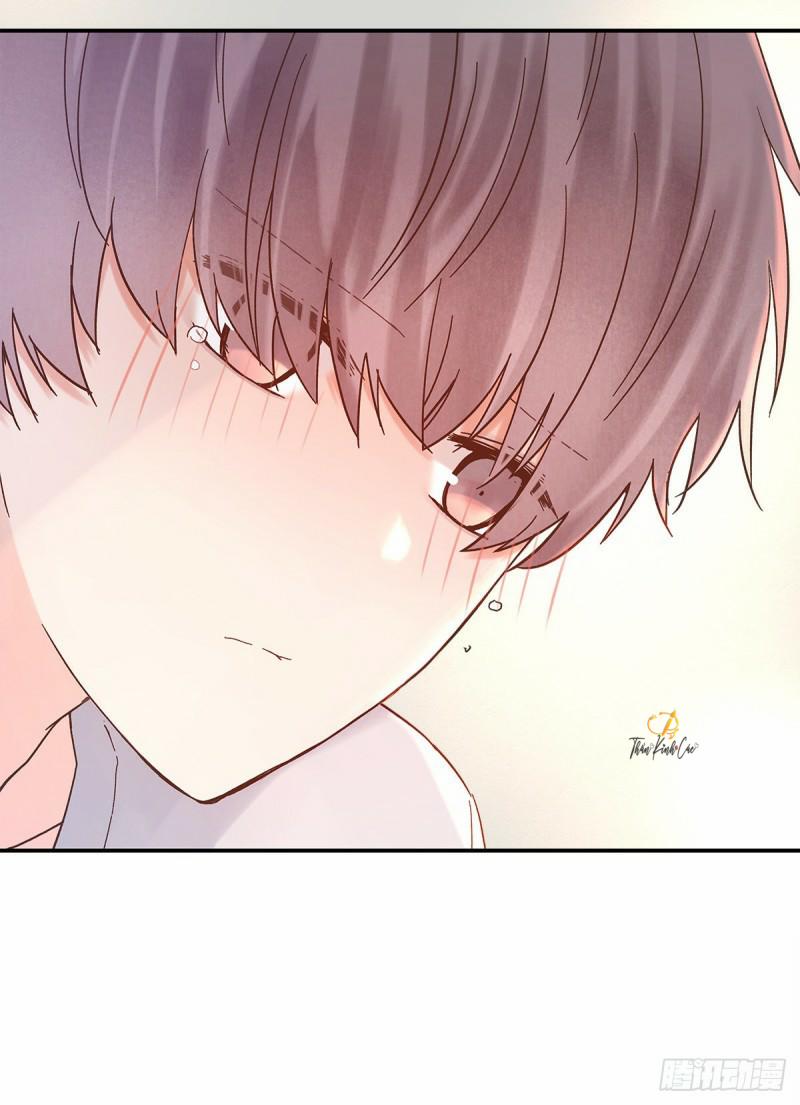 Mối Tình Đầu Gian Nan Của Chu Thành Nhất 36 trang 13