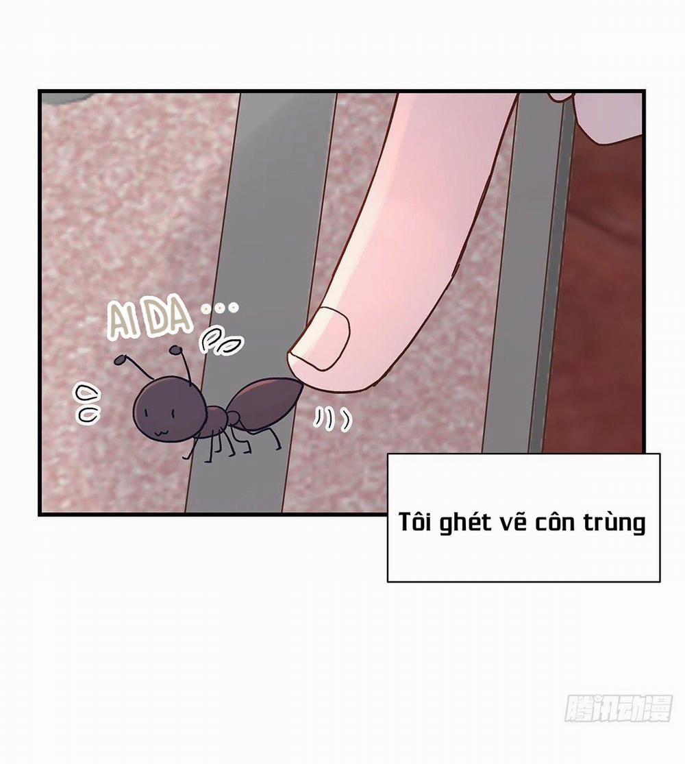 Mối Tình Đầu Gian Nan Của Chu Thành Nhất 47 trang 11