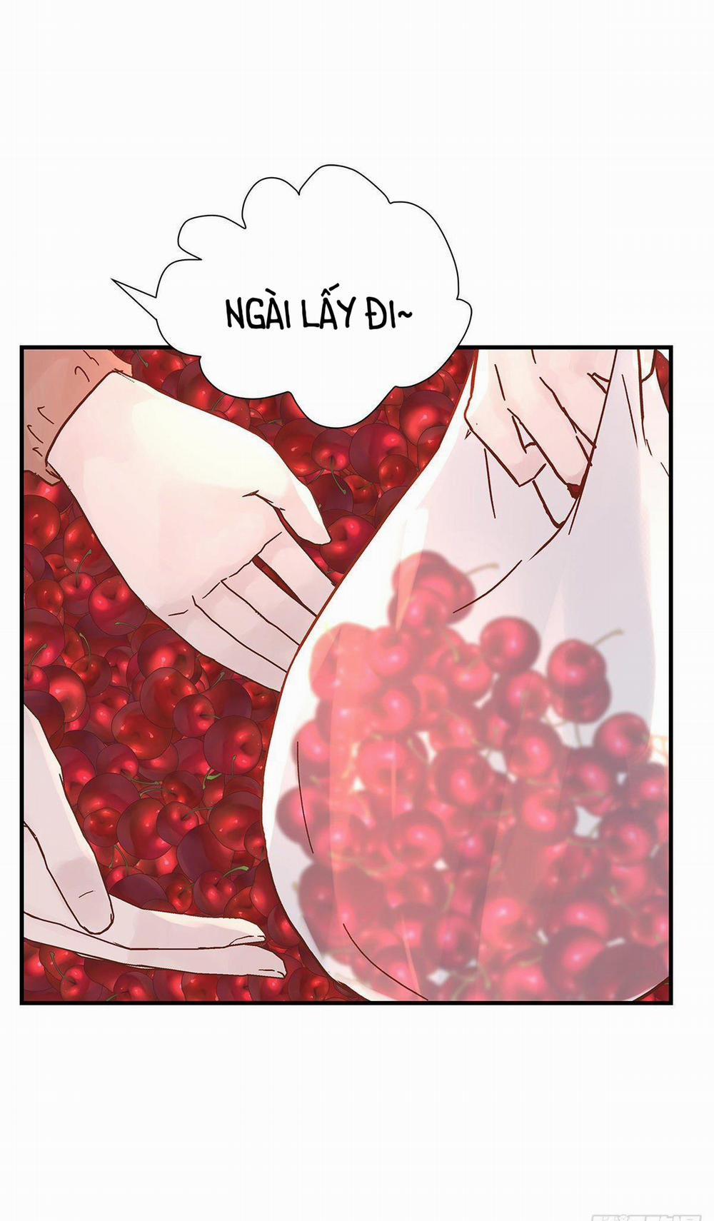 Mối Tình Đầu Gian Nan Của Chu Thành Nhất 48 trang 9