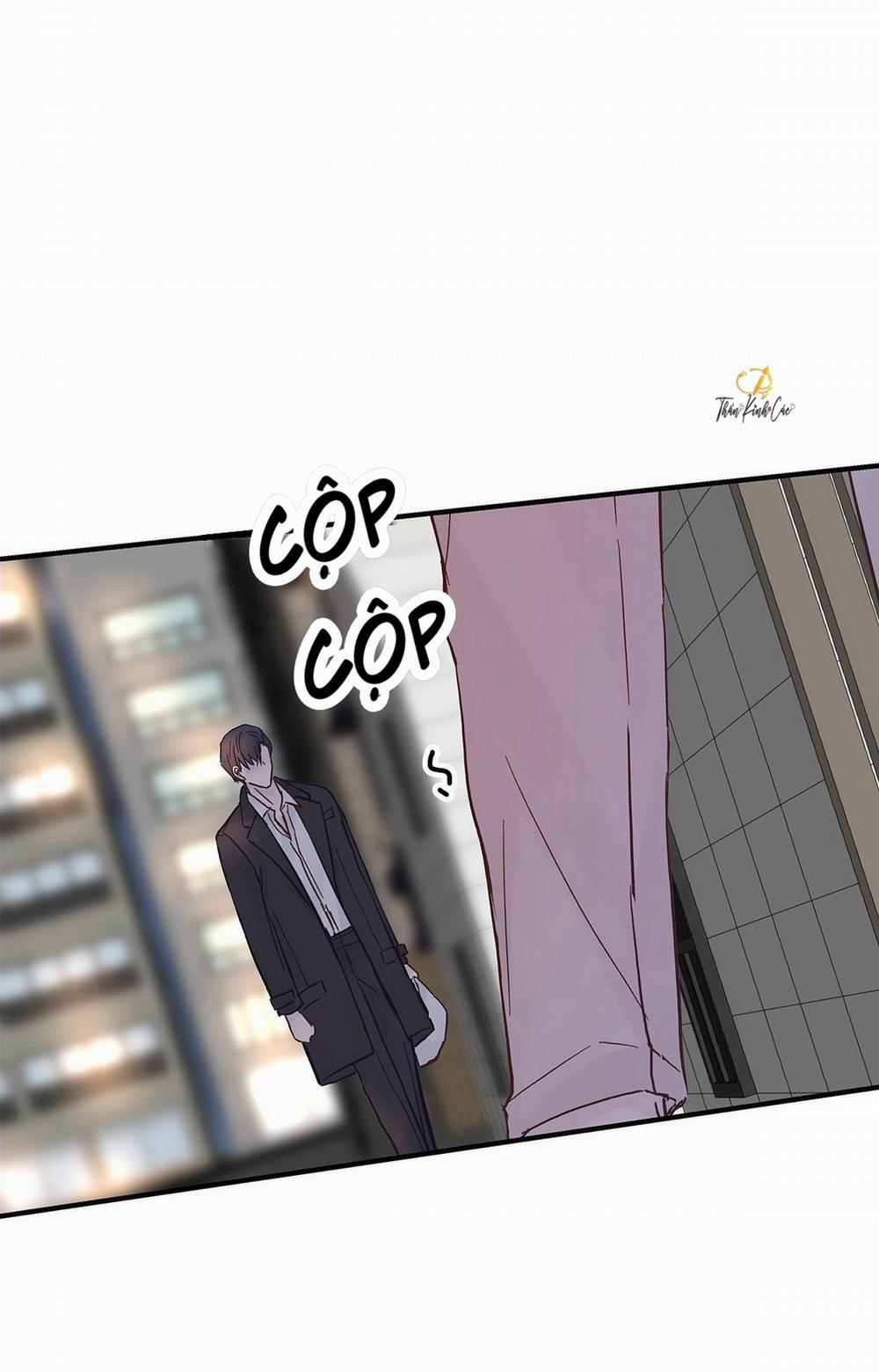 Mối Tình Đầu Gian Nan Của Chu Thành Nhất 49 trang 4