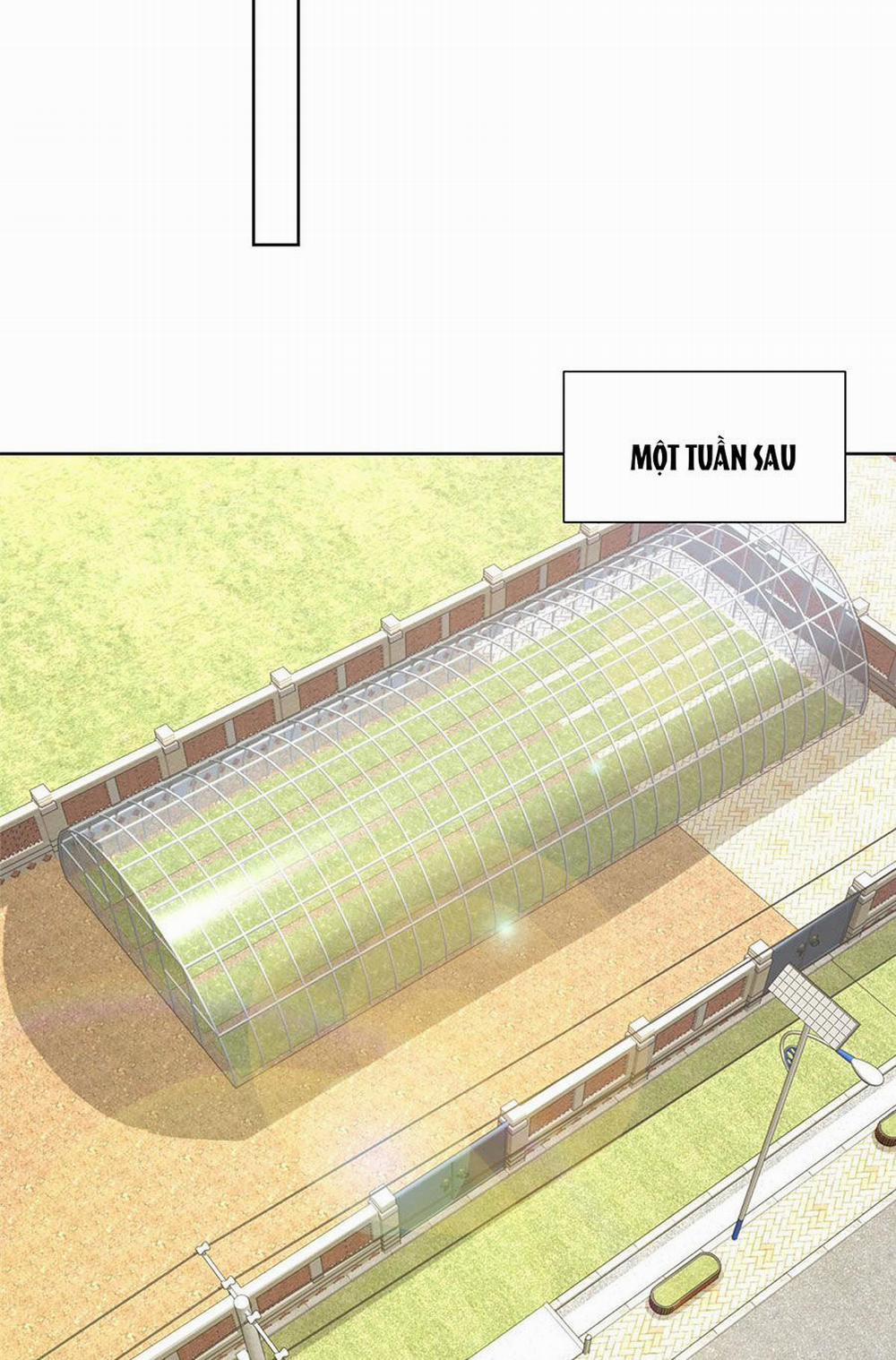 Mỗi Tuần Ta Có Một Nghề Nghiệp Mới 362 trang 33