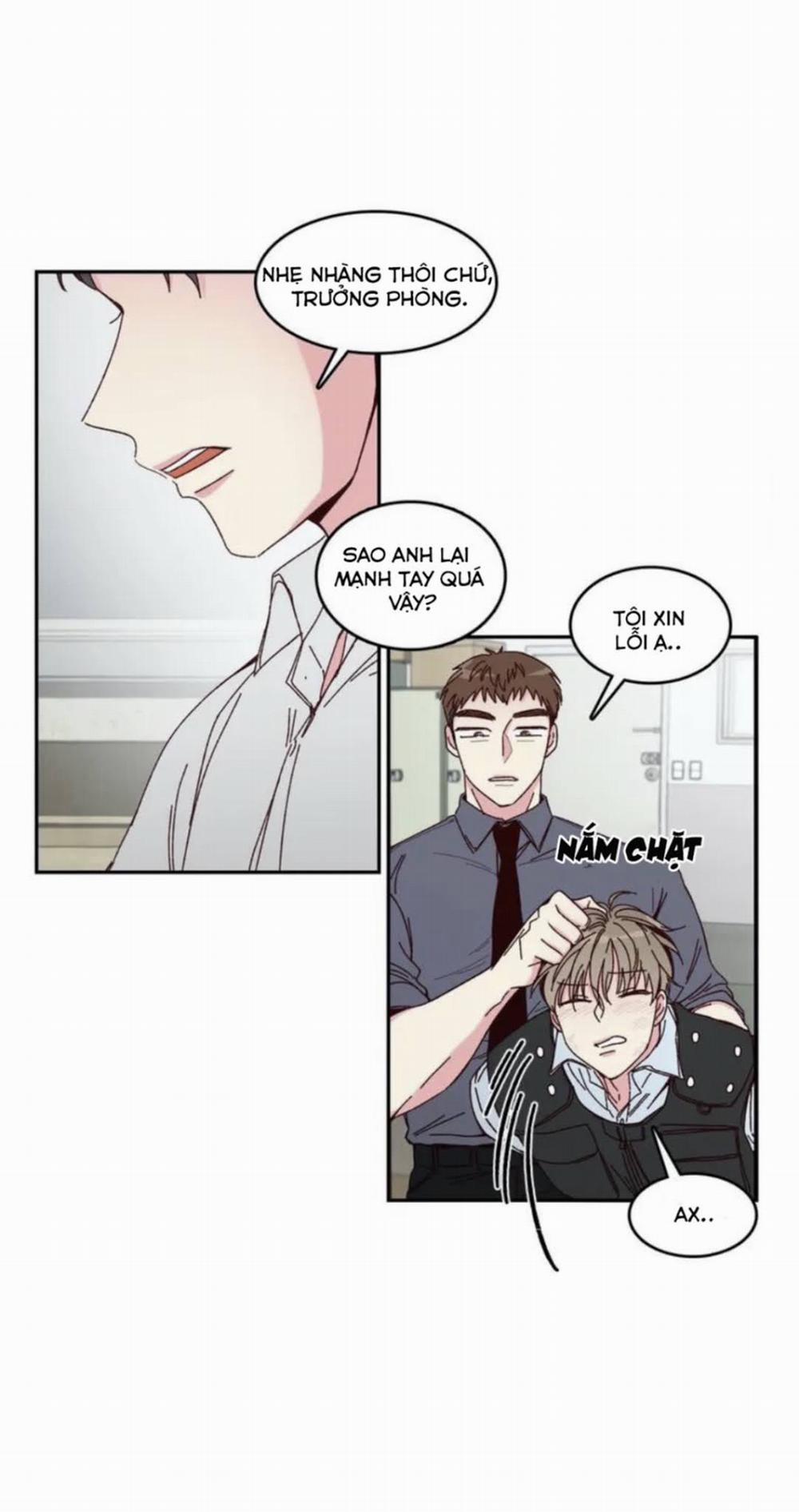 Món Tráng Miệng Của Sếp Tổng 1 trang 19