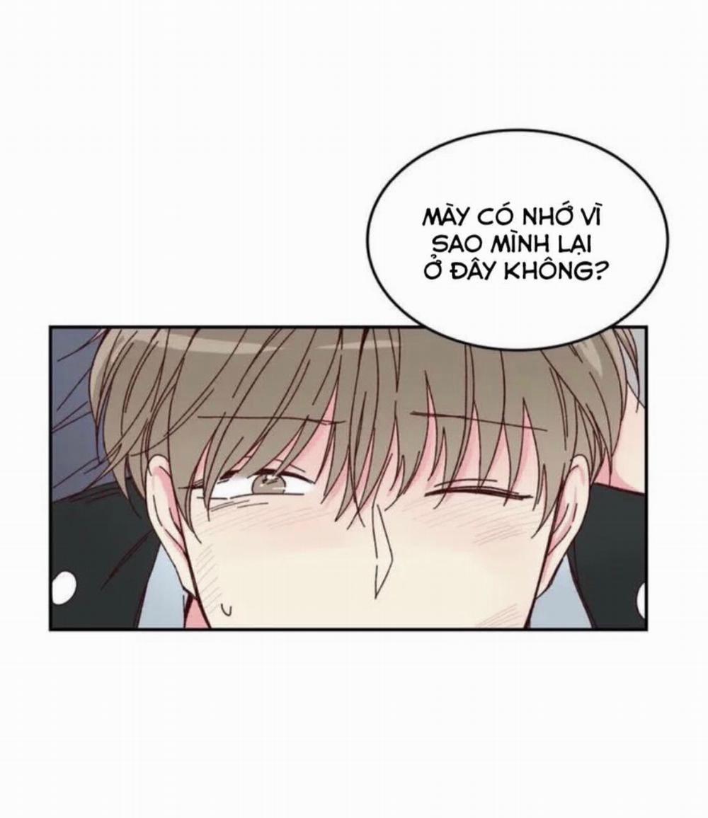 Món Tráng Miệng Của Sếp Tổng 1 trang 21