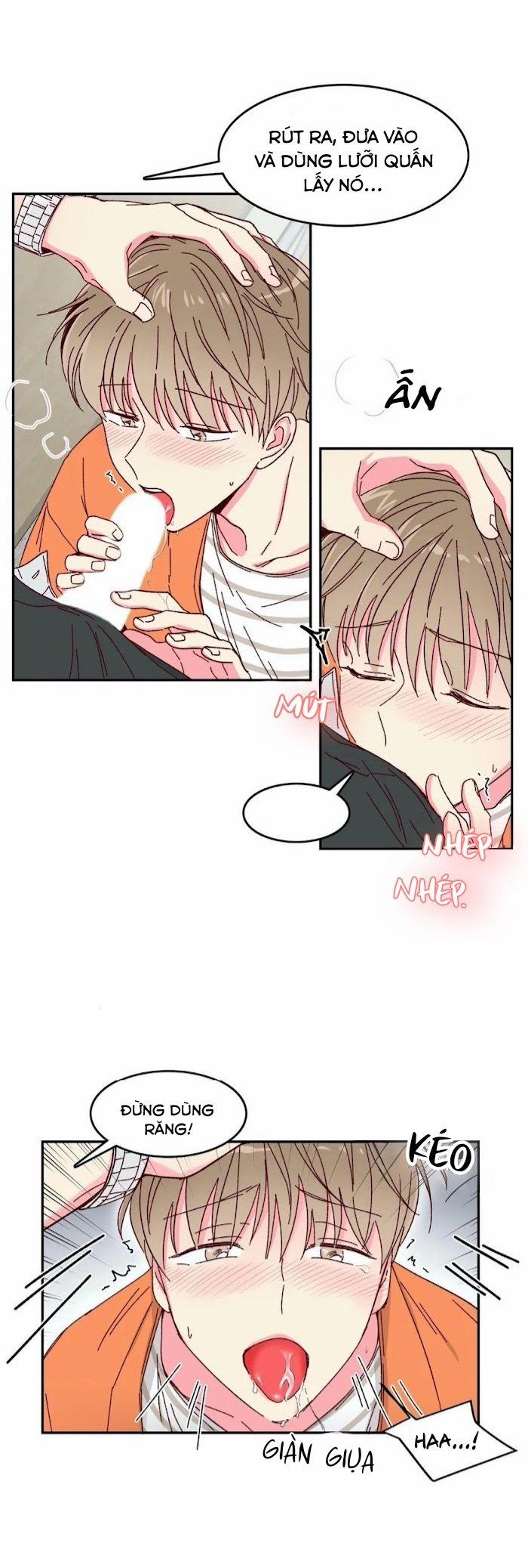 Món Tráng Miệng Của Sếp Tổng 10 trang 10