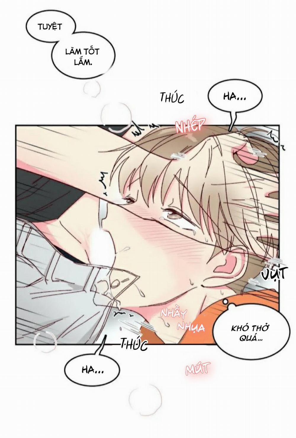Món Tráng Miệng Của Sếp Tổng 10 trang 13
