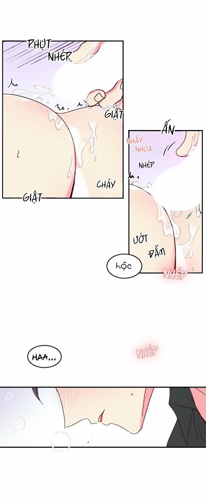Món Tráng Miệng Của Sếp Tổng 10 trang 17