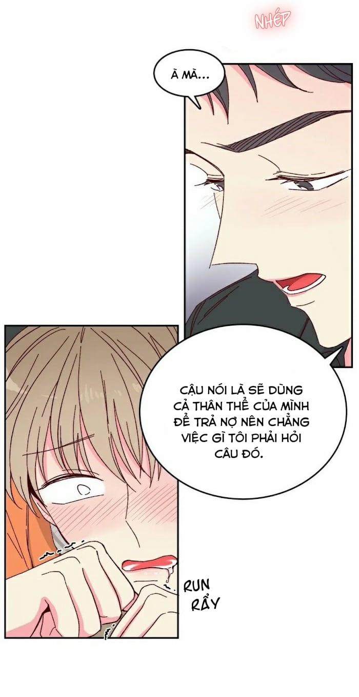 Món Tráng Miệng Của Sếp Tổng 10 trang 19