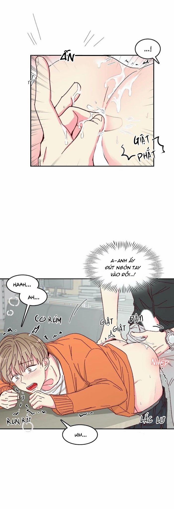 Món Tráng Miệng Của Sếp Tổng 10 trang 20