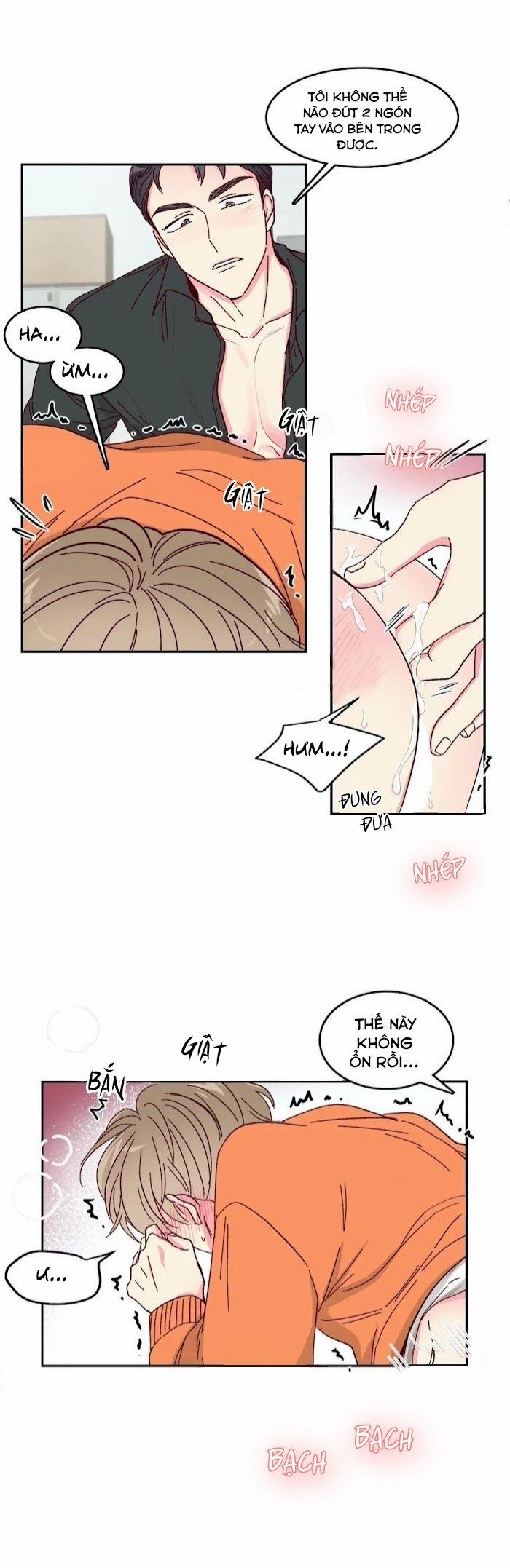 Món Tráng Miệng Của Sếp Tổng 10 trang 24