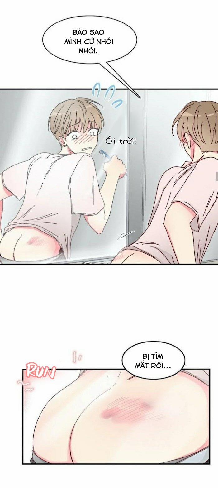 Món Tráng Miệng Của Sếp Tổng 11 trang 14