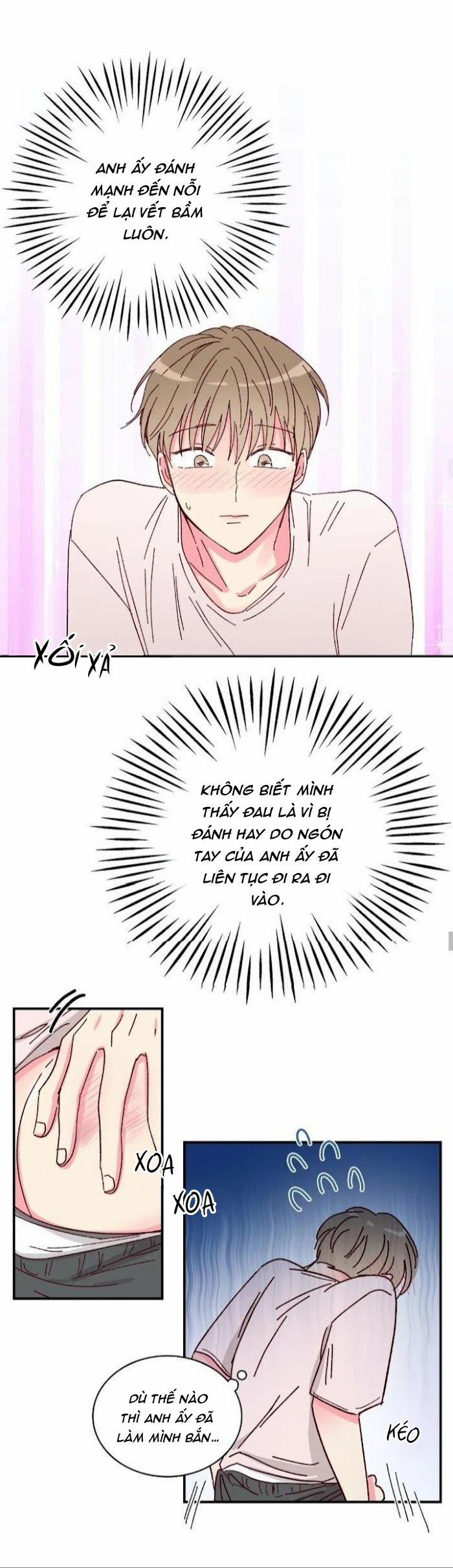 Món Tráng Miệng Của Sếp Tổng 11 trang 15