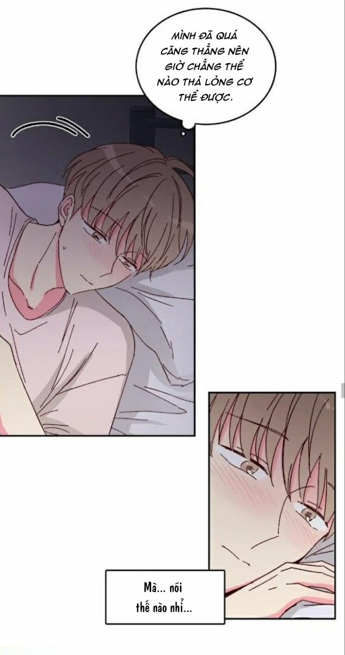 Món Tráng Miệng Của Sếp Tổng 11 trang 17