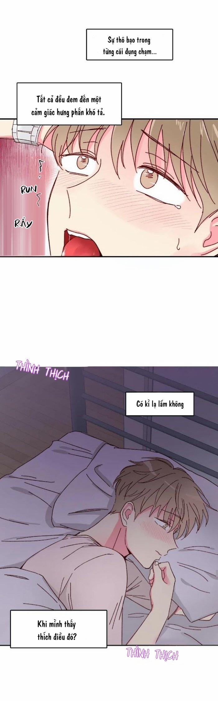 Món Tráng Miệng Của Sếp Tổng 11 trang 19