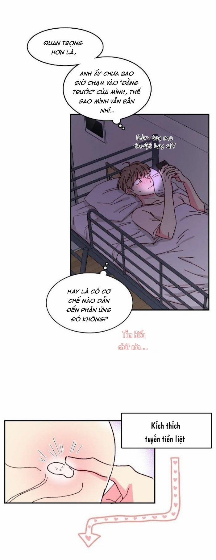 Món Tráng Miệng Của Sếp Tổng 11 trang 21